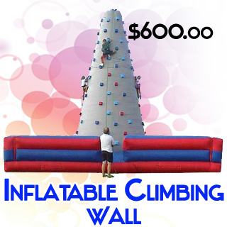 Inflatable Rock Climbing Mountain Wall