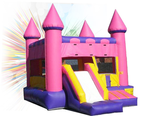 Pink Castle Combo Slide