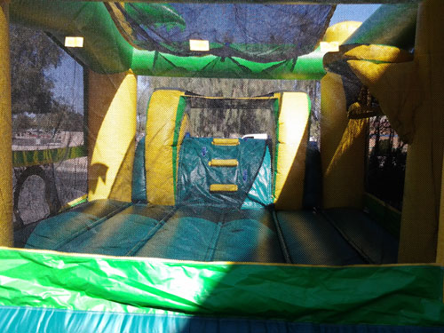 Tropical inflatable slide combo