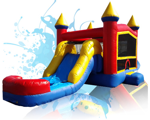 Double Inflatable Waterslide